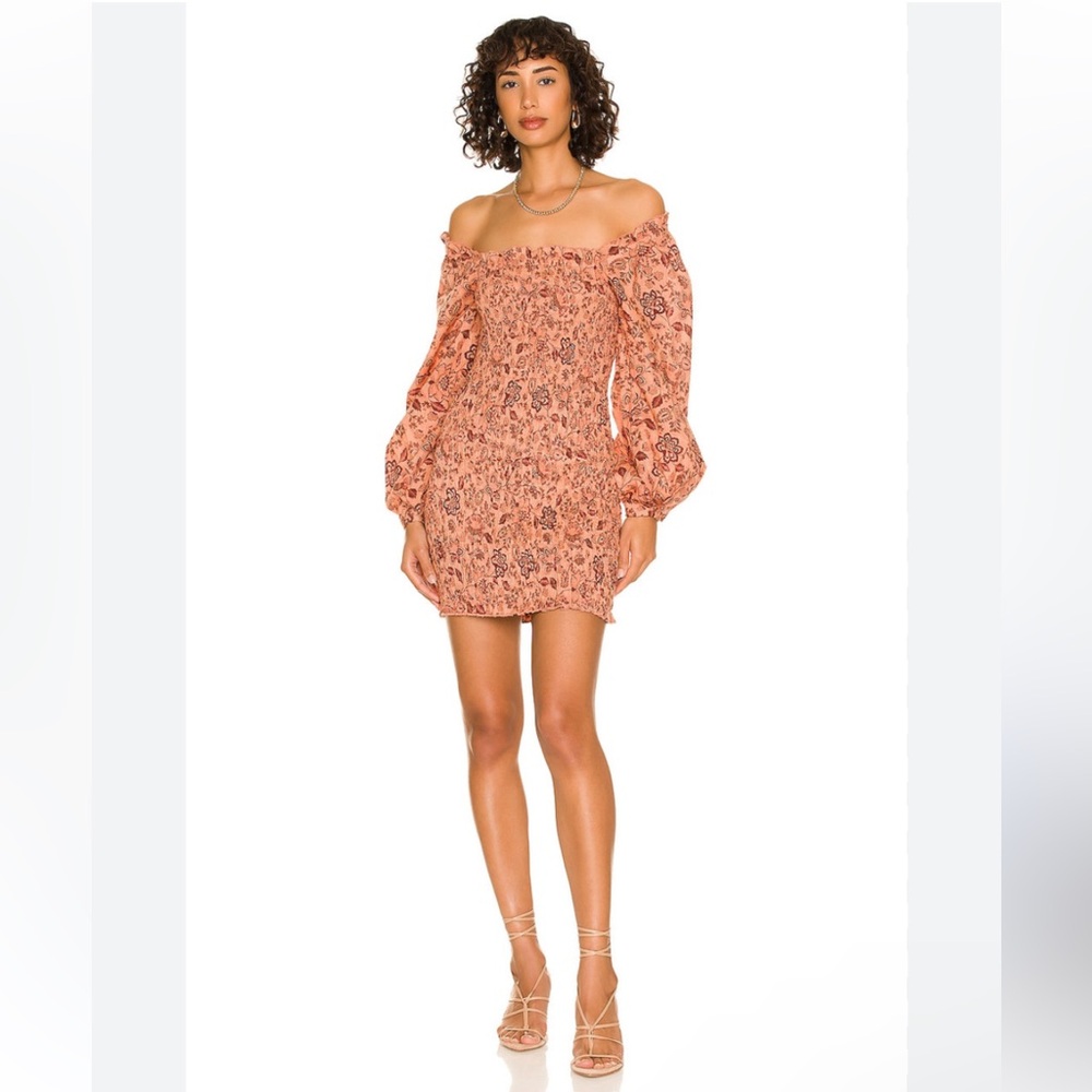 NWT Free People Smock it to me dress